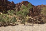 Filename : IMG_1596-gorge.jpg
Filesize : 359KB
Dimensions : 1440x960
Date added : Jan 20, 2018 IMG_1596-gorge.jpg