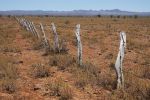 Filename : IMG_1614-fence.jpg
Filesize : 347KB
Dimensions : 1440x960
Date added : Jan 20, 2018 IMG_1614-fence.jpg