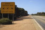 Filename : IMG_1745-eyre-hwy.jpg
Filesize : 59KB
Dimensions : 720x480
Date added : Aug 07, 2018 IMG_1745-eyre-hwy.jpg