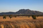 Filename : IMG_1999-Gram[ians-birds-14.jpg
Filesize : 181KB
Dimensions : 1440x960
Date added : Jan 20, 2018 IMG_1999-Gram[ians-birds-14.jpg