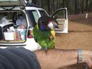 Filename : IMG_20190806_Twenty-Eight.jpg
Filesize : 36KB
Dimensions : 640x480
Date added : Oct 04, 2019 IMG_20190806_Twenty-Eight.jpg