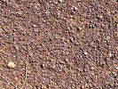 Filename : IMG_20190908_Gibber-stones-.jpg
Filesize : 129KB
Dimensions : 640x480
Date added : Oct 11, 2019 IMG_20190908_Gibber-stones-.jpg