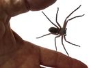Filename : IMG_20191011_Hitchhiker.jpg
Filesize : 24KB
Dimensions : 640x480
Date added : Oct 11, 2019 IMG_20191011_Hitchhiker.jpg