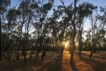 Filename : IMG_2021-sunset.jpg
Filesize : 343KB
Dimensions : 1440x960
Date added : Jan 20, 2018 IMG_2021-sunset.jpg