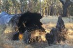 Filename : IMG_2029-tree-stump-1440.jpg
Filesize : 345KB
Dimensions : 1440x960
Date added : Jan 20, 2018 IMG_2029-tree-stump-1440.jpg