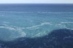 Filename : IMG_2094-bight.jpg
Filesize : 31KB
Dimensions : 720x480
Date added : Aug 07, 2018 IMG_2094-bight.jpg