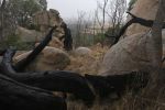 Filename : IMG_2395-Reaper.jpg
Filesize : 198KB
Dimensions : 1440x960
Date added : Jan 20, 2018 IMG_2395-Reaper.jpg