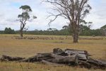 Filename : IMG_2439-Sheep.jpg
Filesize : 214KB
Dimensions : 1440x960
Date added : Jan 20, 2018 IMG_2439-Sheep.jpg