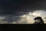 Filename : IMG_2521-storm-clouds.jpg
Filesize : 47KB
Dimensions : 1440x960
Date added : Jan 20, 2018 IMG_2521-storm-clouds.jpg