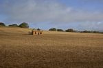 Filename : IMG_2804-house.jpg
Filesize : 59KB
Dimensions : 720x480
Date added : Aug 07, 2018 IMG_2804-house.jpg
