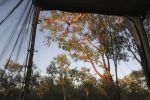 Filename : IMG_4286-awning-enclosure.jpg
Filesize : 60KB
Dimensions : 720x480
Date added : Aug 09, 2018 IMG_4286-awning-enclosure.jpg