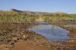Filename : IMG_5509-gibb-river-rd.jpg
Filesize : 80KB
Dimensions : 720x480
Date added : Aug 09, 2018 IMG_5509-gibb-river-rd.jpg
