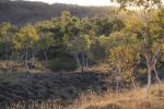 Filename : IMG_5743-sawpit-gorge.jpg
Filesize : 66KB
Dimensions : 720x480
Date added : Aug 09, 2018 IMG_5743-sawpit-gorge.jpg