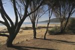 Filename : IMG_9311-Lorne.jpg
Filesize : 278KB
Dimensions : 1440x960
Date added : Jan 24, 2018 IMG_9311-Lorne.jpg