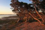 Filename : IMG_9641-Sunset-1440.jpg
Filesize : 307KB
Dimensions : 1440x960
Date added : Jan 20, 2018 IMG_9641-Sunset-1440.jpg