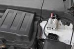 Filename : _MG_2504.jpg
Filesize : 25KB
Dimensions : 720x480
Date added : Jun 30, 2019 _MG_2504.jpg