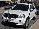 _MG_2914-Freelander.jpg