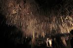 Filename : _MG_3404-Lake-cave.jpg
Filesize : 57KB
Dimensions : 640x427
Date added : Oct 05, 2019 _MG_3404-Lake-cave.jpg