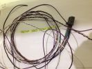 Filename : image~54.jpeg
Filesize : 188KB
Dimensions : 1280x960
Date added : May 16, 2016 image~54.jpeg