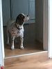 Filename : 20180612_083925.jpg
Filesize : 77KB
Dimensions : 324x431
Date added : Jul 09, 2018 20180612_083925.jpg