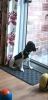 Filename : 20180620_095116.jpg
Filesize : 98KB
Dimensions : 273x561
Date added : Jul 09, 2018 20180620_095116.jpg
