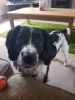 Filename : 20181202_100105.jpg
Filesize : 122KB
Dimensions : 960x1280
Date added : Dec 03, 2018 20181202_100105.jpg