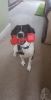 Filename : received_1761428267316913.jpeg
Filesize : 48KB
Dimensions : 499x960
Date added : Dec 03, 2018 received_1761428267316913.jpeg