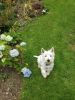 Filename : photo 2.JPG
Filesize : 253KB
Dimensions : 720x960
Date added : May 20, 2015 photo 2.JPG
