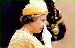 Filename : queen picking.jpg
Filesize : 30KB
Dimensions : 540x345
Date added : Jan 30, 2018 queen picking.jpg
