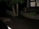 Filename : IMG_3511.JPG
Filesize : 103KB
Dimensions : 1280x960
Date added : Jan 22, 2019 IMG_3511.JPG