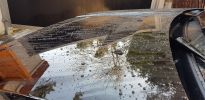 Filename : 20180419_092331.jpg
Filesize : 373KB
Dimensions : 1974x960
Date added : Apr 19, 2018 20180419_092331.jpg