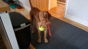 Filename : ball.jpg
Filesize : 111KB
Dimensions : 1440x810
Date added : Nov 30, 2017 ball.jpg