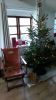 Filename : tree 2017.jpg
Filesize : 82KB
Dimensions : 540x960
Date added : Dec 24, 2017 tree 2017.jpg