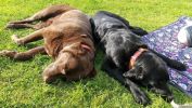 Filename : Phone Pictures 050.jpg
Filesize : 725KB
Dimensions : 1706x960
Date added : May 08, 2017 Phone Pictures 050.jpg