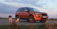 Dogs and Freelander up The Keepers and local 040.JPG