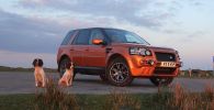 Filename : Dogs and Freelander up The Keepers and local 040.JPG
Filesize : 331KB
Dimensions : 1875x960
Date added : May 08, 2017 Dogs and Freelander up The Keepers and local 040.JPG