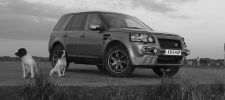 Dogs and Freelander up The Keepers and local 044.JPG