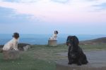 Dogs and Freelander up The Keepers and local 062.JPG