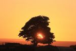 Filename : Mountain sunset pics 023.JPG
Filesize : 115KB
Dimensions : 1440x960
Date added : Jun 18, 2017 Mountain sunset pics 023.JPG