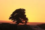 Filename : Mountain sunset pics 033.JPG
Filesize : 118KB
Dimensions : 1440x960
Date added : Jun 18, 2017 Mountain sunset pics 033.JPG