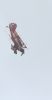 Filename : Welshpool Airshow 2017 228.JPG
Filesize : 48KB
Dimensions : 504x959
Date added : Jun 18, 2017 Welshpool Airshow 2017 228.JPG