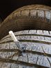 Filename : IMG_20190216_113916.jpg
Filesize : 132KB
Dimensions : 719x959
Date added : Feb 17, 2019 IMG_20190216_113916.jpg