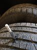 Filename : IMG_20190216_113918.jpg
Filesize : 85KB
Dimensions : 719x959
Date added : Feb 17, 2019 IMG_20190216_113918.jpg