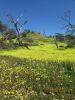 Filename : IMG_1791.JPG
Filesize : 189KB
Dimensions : 720x960
Date added : Aug 28, 2018 IMG_1791.JPG