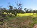 Filename : IMG_1792.JPG
Filesize : 328KB
Dimensions : 1280x959
Date added : Aug 28, 2018 IMG_1792.JPG
