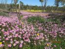 Filename : IMG_1802.JPG
Filesize : 433KB
Dimensions : 1280x960
Date added : Aug 28, 2018 IMG_1802.JPG