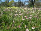 Filename : IMG_1838.JPG
Filesize : 420KB
Dimensions : 1280x959
Date added : Aug 28, 2018 IMG_1838.JPG