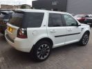 Freelander Metro 64.jpg