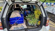 Filename : Garden Centre Load Freelander.jpg
Filesize : 390KB
Dimensions : 1705x960
Date added : May 18, 2024 Garden Centre Load Freelander.jpg
