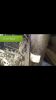 Filename : 20171116_154033.png
Filesize : 210KB
Dimensions : 540x960
Date added : Nov 18, 2017 20171116_154033.png